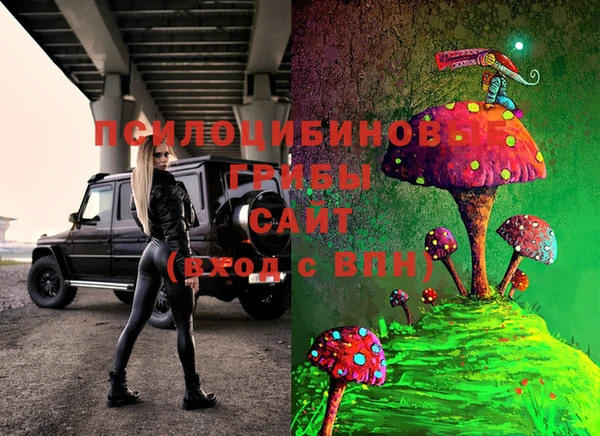 прущие грибы Алексин